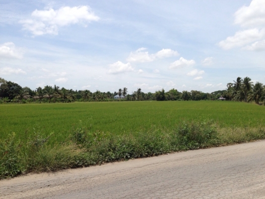 ขออนุญาตประกาศขายที่ดินเปล่า 26 ไร่ จ.ปทุทธานี เขต ลาดหลุมแก้ว(มีโฉนด) ขออนุญาตประกาศขายที่ดินเปล่า 26 ไร่ จ.ปทุทธานี เขต ลาดหลุมแก้ว(มีโฉนด)