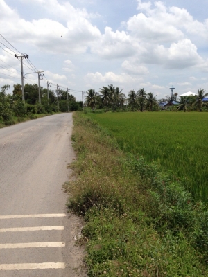 ขออนุญาตประกาศขายที่ดินเปล่า 26 ไร่ จ.ปทุทธานี เขต ลาดหลุมแก้ว(มีโฉนด) ขออนุญาตประกาศขายที่ดินเปล่า 26 ไร่ จ.ปทุทธานี เขต ลาดหลุมแก้ว(มีโฉนด)