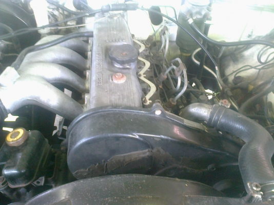 มิสซูมิสซิ L200 แค๊ป ปี96 ราคา95000 มิสซูมิสซิ L200 แค๊ป ปี96 ราคา95000