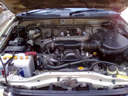 ขายไทยเกอร์ D4D 2500 ขายไทยเกอร์ D4D 2500