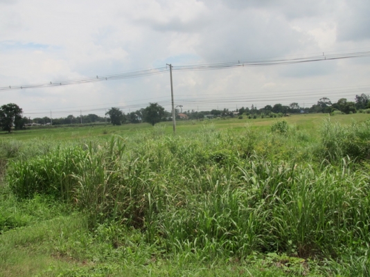 ขายที่ดินติดถนนสายเอเซียทำเลทอง