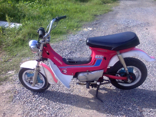 ชาลี สวยสวยเดิมเดิม สตาทง่ายง่าย ชาลี สวยสวยเดิมเดิม สตาทง่ายง่าย