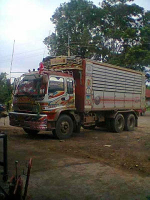 ขาย ISUZU 320 HP ปี2551 กระบะบรรทุกพืชผลทางเกษตร (ดัมพ์ ) (แม่+ลูก)