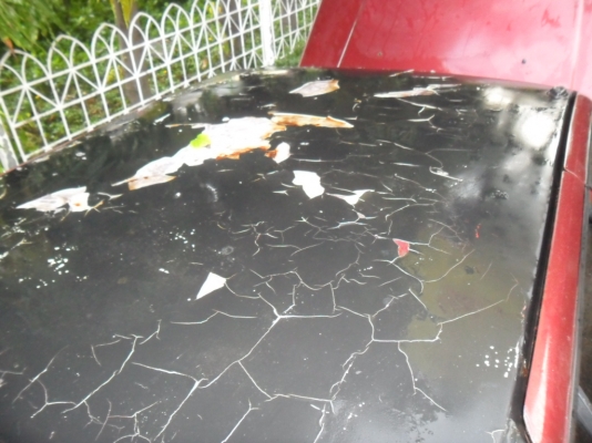 ขายCHAMP ขายCHAMP