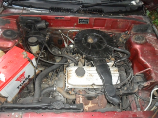 ขายCHAMP ขายCHAMP