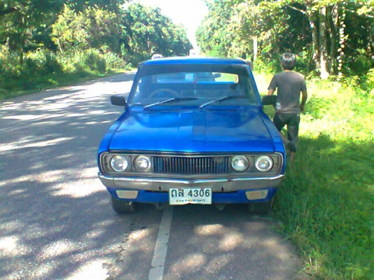 ขาย >>> ช้างสักตัว<<< 4ขอแนวๆ