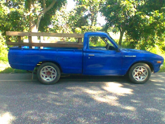 ขาย >>> ช้างสักตัว<<< 4ขอแนวๆ