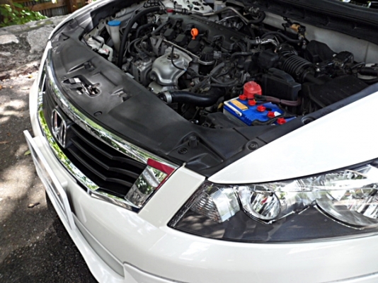 ขาย Honda Accord ขาย Honda Accord