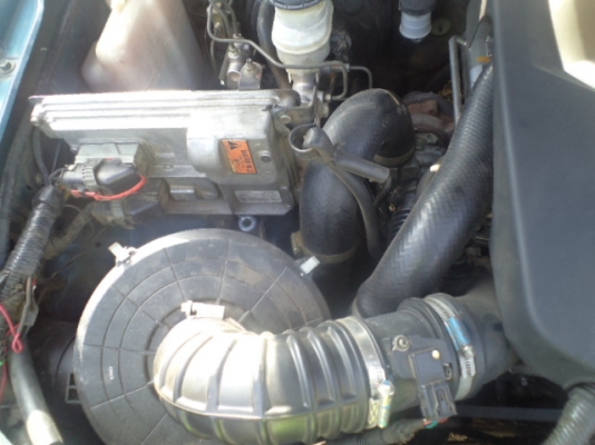 ขาย ISUZU D-max  ปี 2005 เครื่อง 2500 commonrail