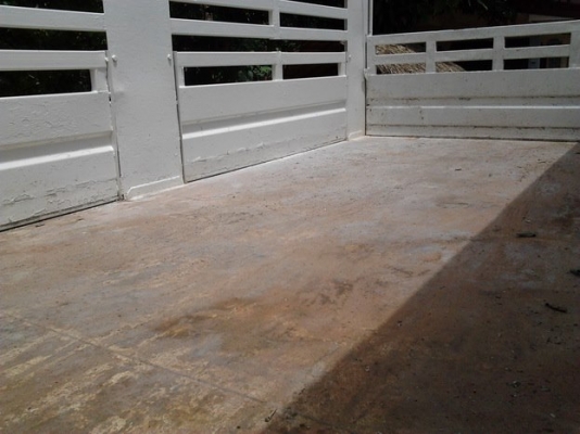 ***ขายแล้วครับขอบคุณ Truck2hand ขาย6ล้อ120สวยๆ ISUZU NPR66LX5 T ห้างแท้ปี40 เครื่อง4HF1 120ฝาขาวยอดนิยม แห้งแรง ไม่เยิ้ม ช่วงล่างแน่นคัสซีสวยเดิมๆ ไม่มีผุ ไม่มีบวม Fหลังแล้ว กระบะเหล็กวางใหม่4.30ม. พื้นเหล็ก ตงเหล็ก คอกเหล็กกล่อง แข็งแร็ง หัวสวย ภายในดีคอ