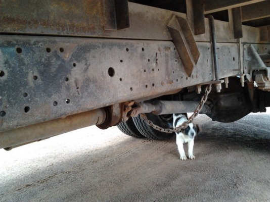 ***ขายแล้วครับขอบคุณ Truck2hand ขาย6ล้อ120สวยๆ ISUZU NPR66LX5 T ห้างแท้ปี40 เครื่อง4HF1 120ฝาขาวยอดนิยม แห้งแรง ไม่เยิ้ม ช่วงล่างแน่นคัสซีสวยเดิมๆ ไม่มีผุ ไม่มีบวม Fหลังแล้ว กระบะเหล็กวางใหม่4.30ม. พื้นเหล็ก ตงเหล็ก คอกเหล็กกล่อง แข็งแร็ง หัวสวย ภายในดีคอ