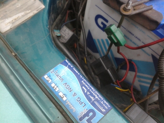 มาสด้าหัวแตงโม มาสด้าหัวแตงโม