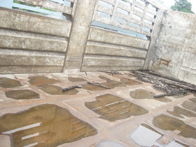 ขายนางฟ้าวางเครื่อง 320 หัวเดก้า สองเพลาไม่ดั้มพ์รถล่องครับ โทร 088-4501277