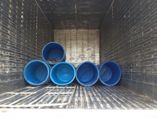 รถอีซูซุ 10 ล้อ ตู้เย็น เปลื่ยนเครื่อง 210 แรงม้า สนใจติดต่อ 081 - 6079515 รถอีซูซุ 10 ล้อ ตู้เย็น เปลื่ยนเครื่อง 210 แรงม้า สนใจติดต่อ 081 - 6079515