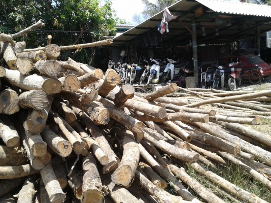 $$$+ขายไม้สักราคาถูก ราคาเท่าไม้ค้ำยัน มีหลายขนาด แวะดูได้+$$$ $$$+ขายไม้สักราคาถูก ราคาเท่าไม้ค้ำยัน มีหลายขนาด แวะดูได้+$$$