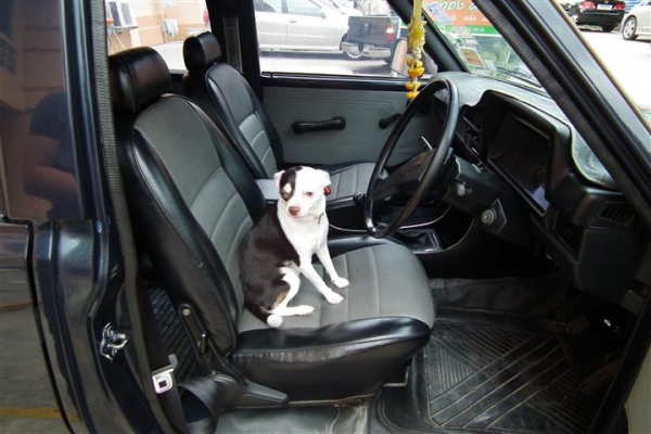 ขาย/แลก nissan profesional D 4dr