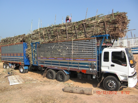 ขายรถISUZU MAX LOAD 320 HP กะบะปิเนียม แม่6.50เมตรลูกยาว7.20เมตร ล้อแม็ก22ล้อยางเรเดียน22เส้น เครื่องเดิม เกียร์เดิม แอร์เย็นเจี๊ยบ ยางเต็ม90\%ทุกเส้น ลูก3เพลาแท้