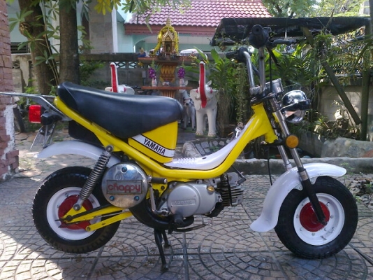 ขายแชปปี้เดิมๆ 12500