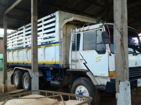 MITSUBISHI FUSO FN527 TURBO - 220 HP TF 0738 สิบล้อดั๊มพ์ 2 เพลา เบรคใหญ่แล้ว มีระบบลากพ่วง กระบะดั๊มพ์เหล็ก 12 ตันคอกสูงเกษรสภาพสวย เครื่อง TURBO แรงดีแห้งดีไม่มีเยิ้ม ภายในเก๋งอุปกรณ์ครบ แอร์เย็น พวงมาลัยเพาเวอร์ เบรคทริ๊ปฟี้ ช่วงล่างคัชซีดีไม่บวม ยางสภ