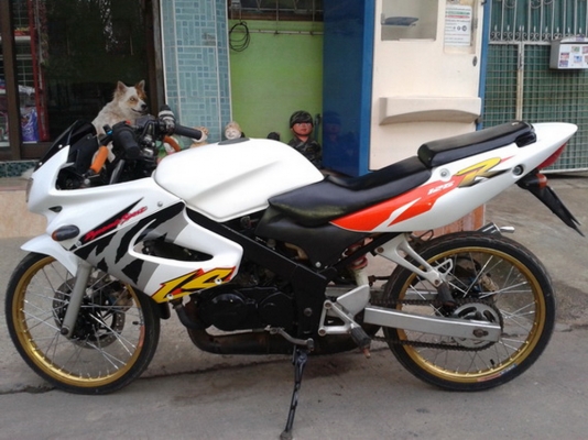 ขาย HONDA LS 125 สีขาว เครืองเดิม