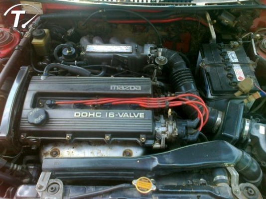 ขาย น้อง ติ๊นา ไฟ ป๊อบ  ถูกๆ ครับ