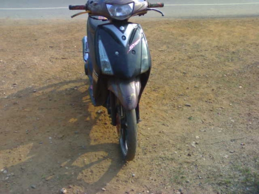 สเตปปี49 เบา ๆ