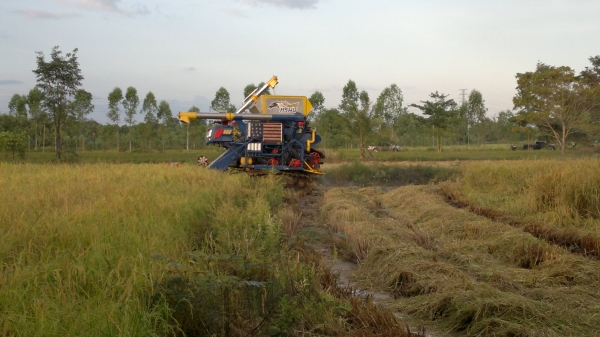 ขายด่วน รถเกี่ยวไทยเส็งยนต์การเกษตร เจ้าพายุ