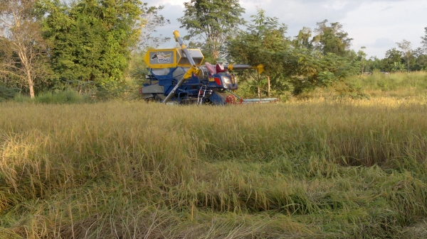 ขายด่วน รถเกี่ยวไทยเส็งยนต์การเกษตร เจ้าพายุ