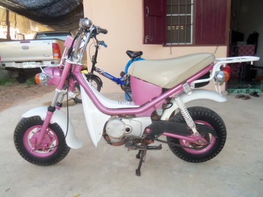 ขายชิปปี้เดิมๆถูกๆรวมส่ง12900=ต่อรองได้