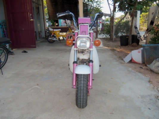 ขายชิปปี้เดิมๆถูกๆรวมส่ง12900=ต่อรองได้