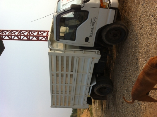 ขายรถบรรทุกราคาถูก