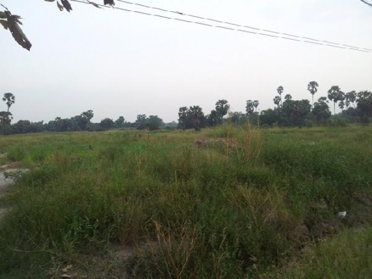 ขายด่วน ที่ดินถมแล้วติดถนนเชียงรากน้อย หลัง ม.ธรรมศาสตร์ รังสิต จำนวน 7.5 ไร่