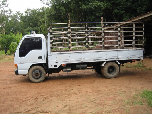 ขาย isuzu nkr 110 แรง หัวการ์ตูน