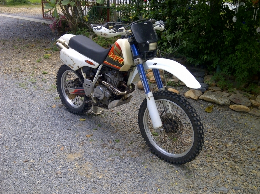 ขาย xr250r ปี1991 ตัวแข่ง ถังพลาสติก ขาย xr250r ปี1991 ตัวแข่ง ถังพลาสติก