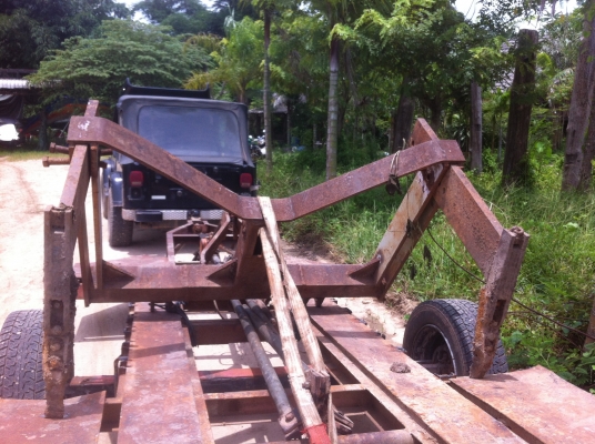 ขายลิปเปอร์ขักล่องอ้อย