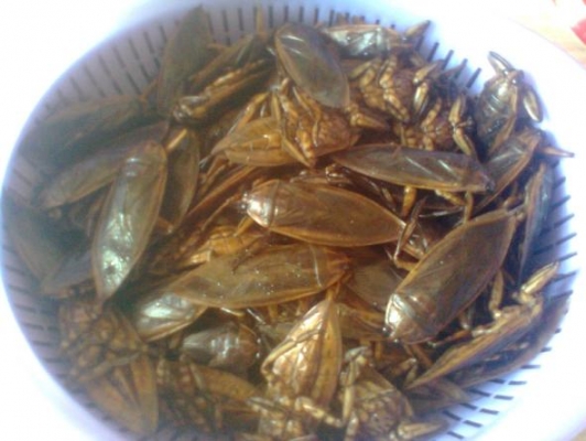 ขายน้ำพริกแมงดาใส่ปลาดุกย่างไม่ใส่สารกันบูดพร้อมส่งเป็น กิโลหรือเป็นกะปุก