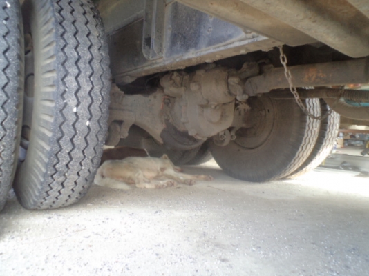 ขายISUZU Rocky 175 แรง 2 เพลา สโลว์ ล็อกเล็ก กะบะดั้ม