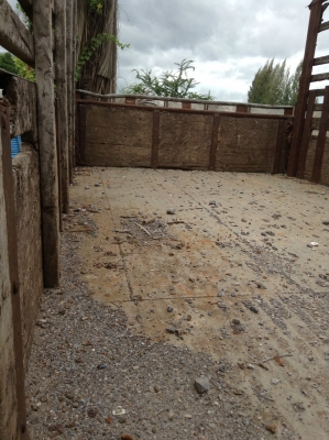 ขายรถ10ล้อ ISUZUหัวยาว ขายรถ10ล้อ ISUZUหัวยาว