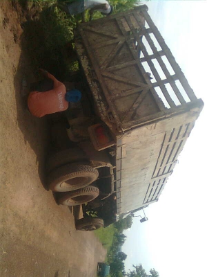 ขายSUMO 227 LDสองเพลาดั้มพร้อมใช้