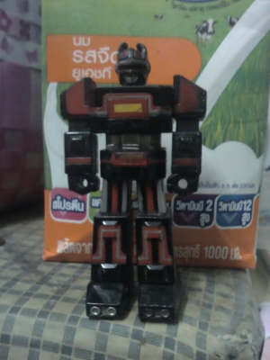 ขายหุ่นเหล็กตัวเล็กๆ ขายหุ่นเหล็กตัวเล็กๆ