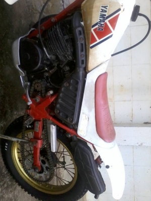 ขาย yamaha ty250 สภาพสวย ใหม่