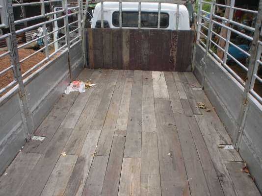 ขายกะบะคอกสูง