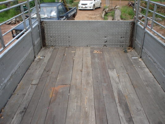 ขายกะบะคอกสูง