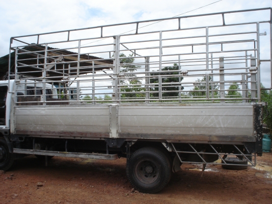 ขายกะบะคอกสูง