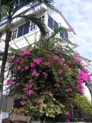 ขายบ้านพร้อมหอพักใกล้สถานีรถไฟบางซ่อน