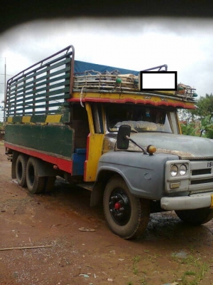 10 ล้อ หน้ายาว สวยๆ