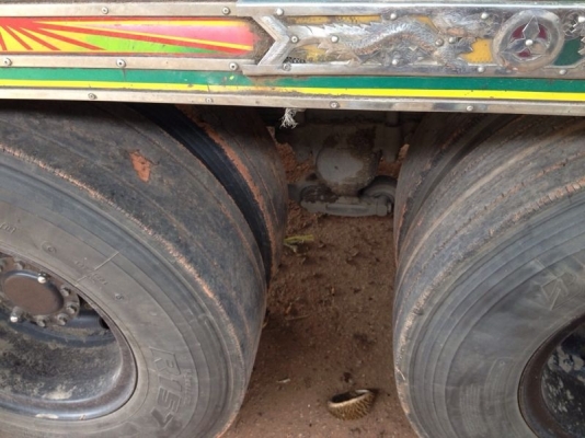 รถอีซูซุ 10 ล้อ รั่ว FVM 230 แรงม้า ปี 50   สนใจติดต่อ 081 - 6079515