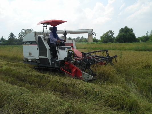 ขายแล้วคับไปสระแก้ว ขายแล้วคับไปสระแก้ว