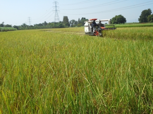 ขายแล้วคับไปสระแก้ว ขายแล้วคับไปสระแก้ว