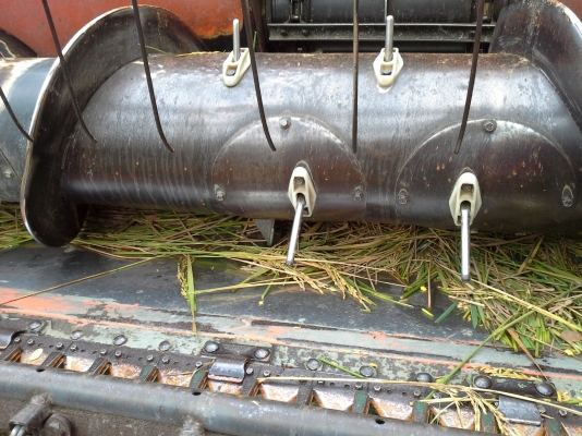 ขายแล้วคับไปสระแก้ว ขายแล้วคับไปสระแก้ว